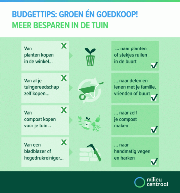 Budgettips: groen én goedkoop in de tuin